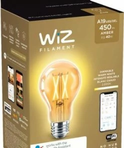 Best Buy A19 VINTAGE BULB