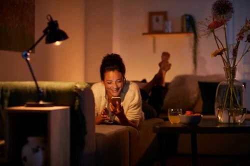 Best Buy A19 VINTAGE BULB - Image 3