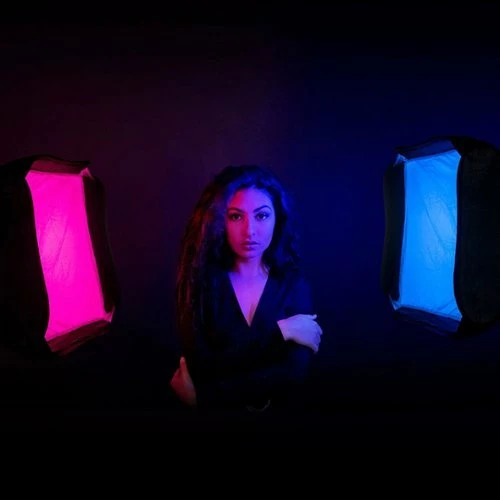 Best Buy RGB PORTRAIT KIT - Image 5