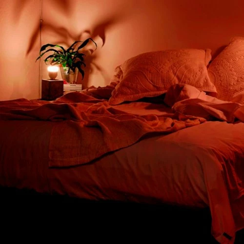 Best Buy A19 LED BULB - COLOR - Image 6