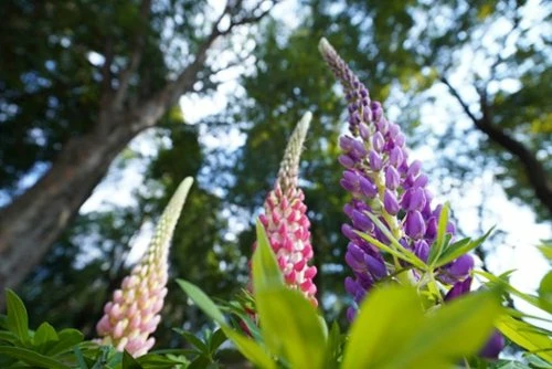 Best Buy ALPHA FE PZ 16-35MM F4 G FULL-FRAME CONSTANT-APERTURE WIDE-ANGLE POWER ZOOM G LENS - BLACK - Image 8