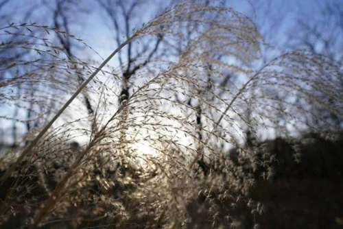 Best Buy ALPHA FE PZ 16-35MM F4 G FULL-FRAME CONSTANT-APERTURE WIDE-ANGLE POWER ZOOM G LENS - BLACK - Image 5