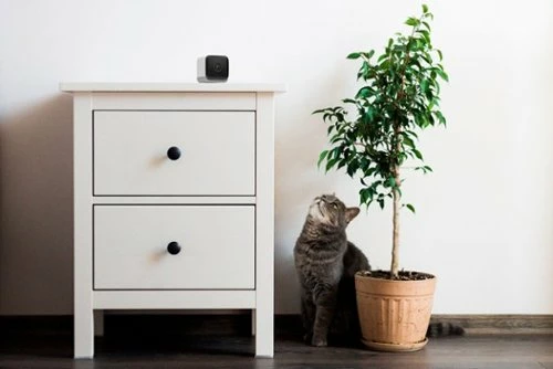 Best Buy INDOOR/OUTDOOR WIRED 1080P SECURITY CAMERA - WHITE - Image 5